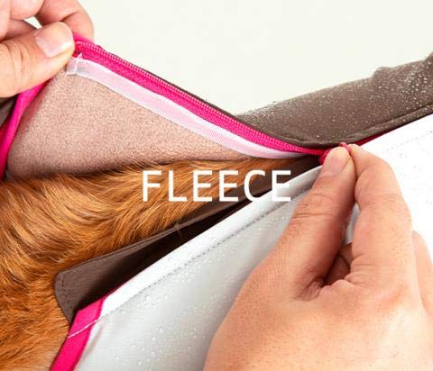 Amazon | スノードッグガード (ML, バイカラーオレンジ) | ALPHAICON